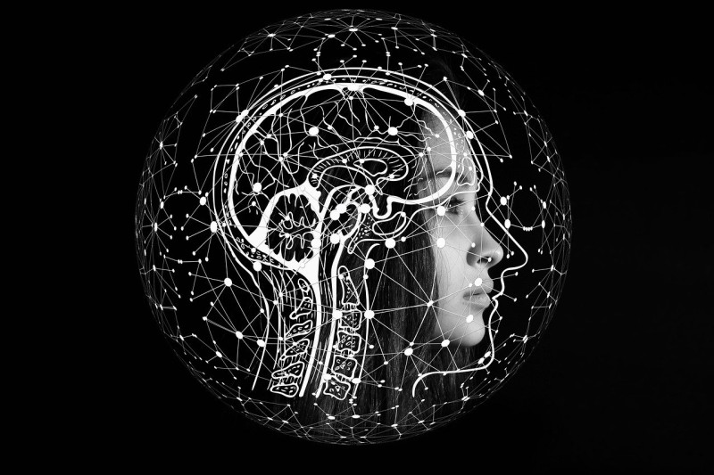artificial-intelligence-4389372-1280-627a8328ca576.jpg