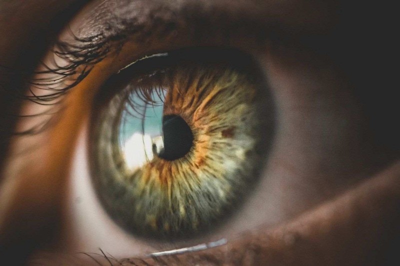 eyes-associated-medical-terminologies-6262e18cd8344.jpg