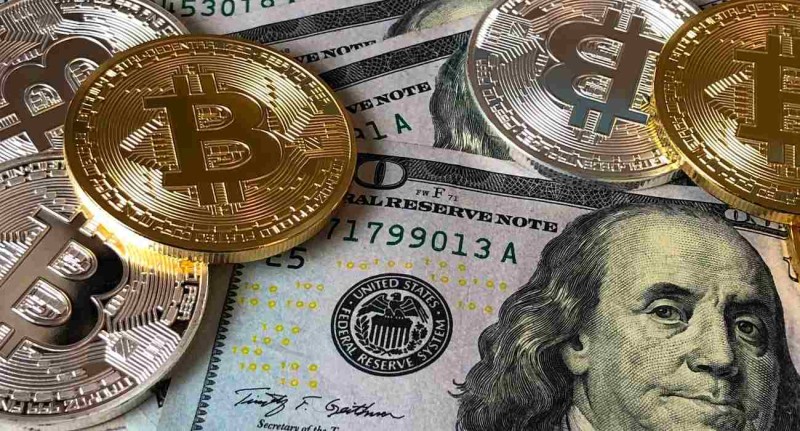 How to Pick the Best Cryptographic Wallet
